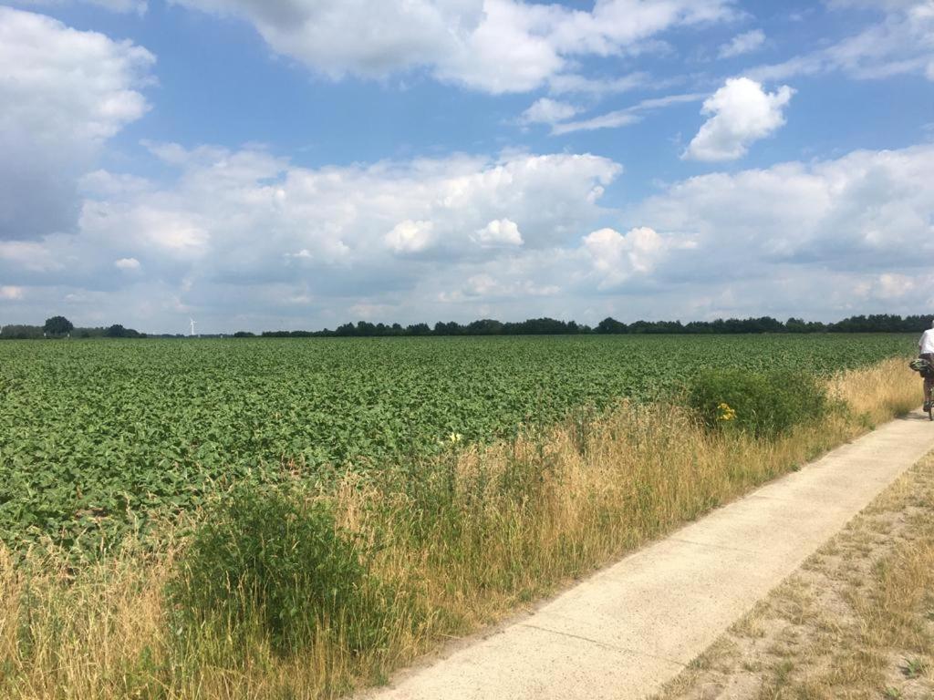 Apartament Sonnenschein Uelzen Zewnętrze zdjęcie