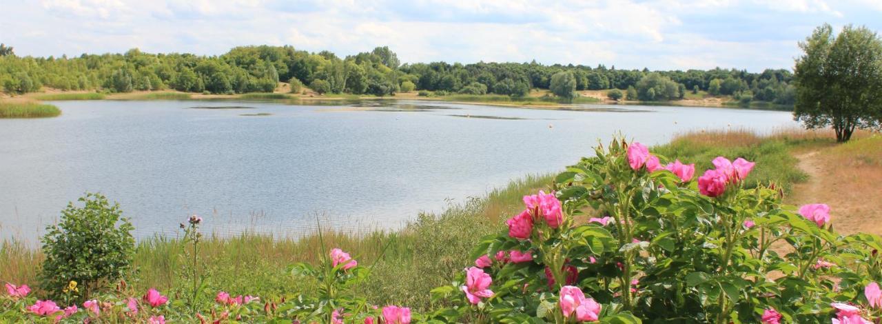 Apartament Sonnenschein Uelzen Zewnętrze zdjęcie